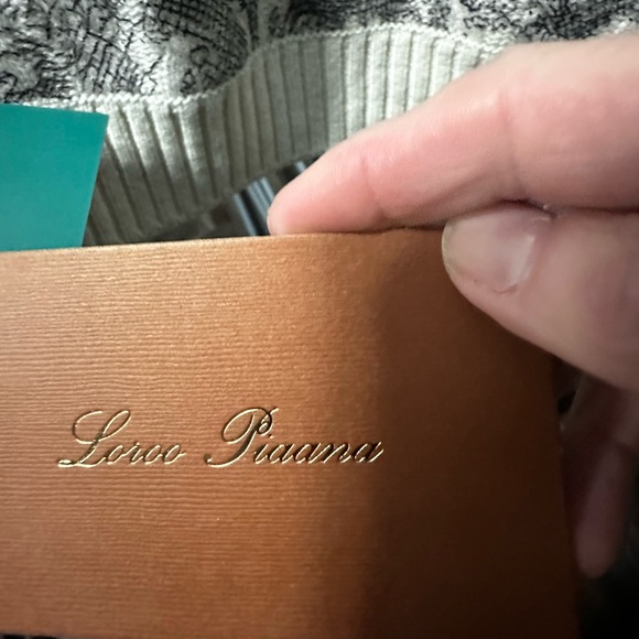 Gorgeous Cream and Gray V-Neck Sweater - Picture 4 of 8